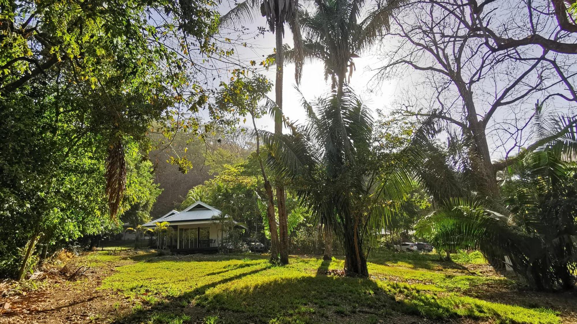 Armadillo Eco Bungalows - Santa Teresa Playa Santa Teresa  외부 사진