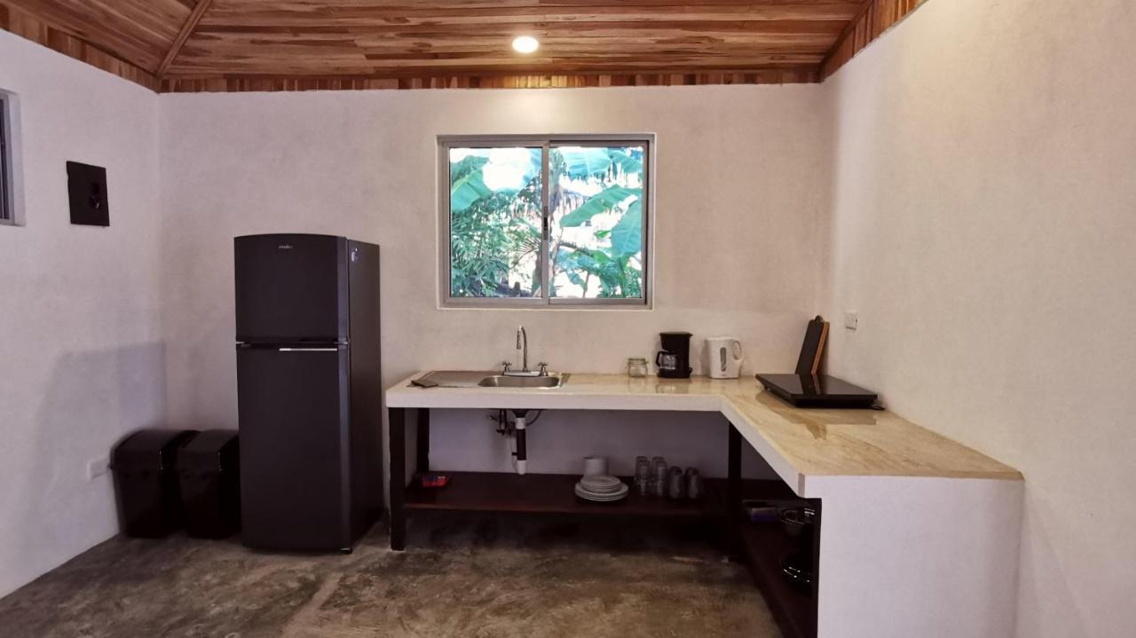 Armadillo Eco Bungalows - Santa Teresa Playa Santa Teresa  외부 사진