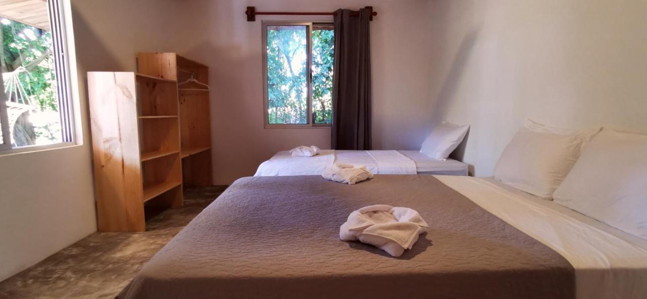 Armadillo Eco Bungalows - Santa Teresa Playa Santa Teresa  외부 사진
