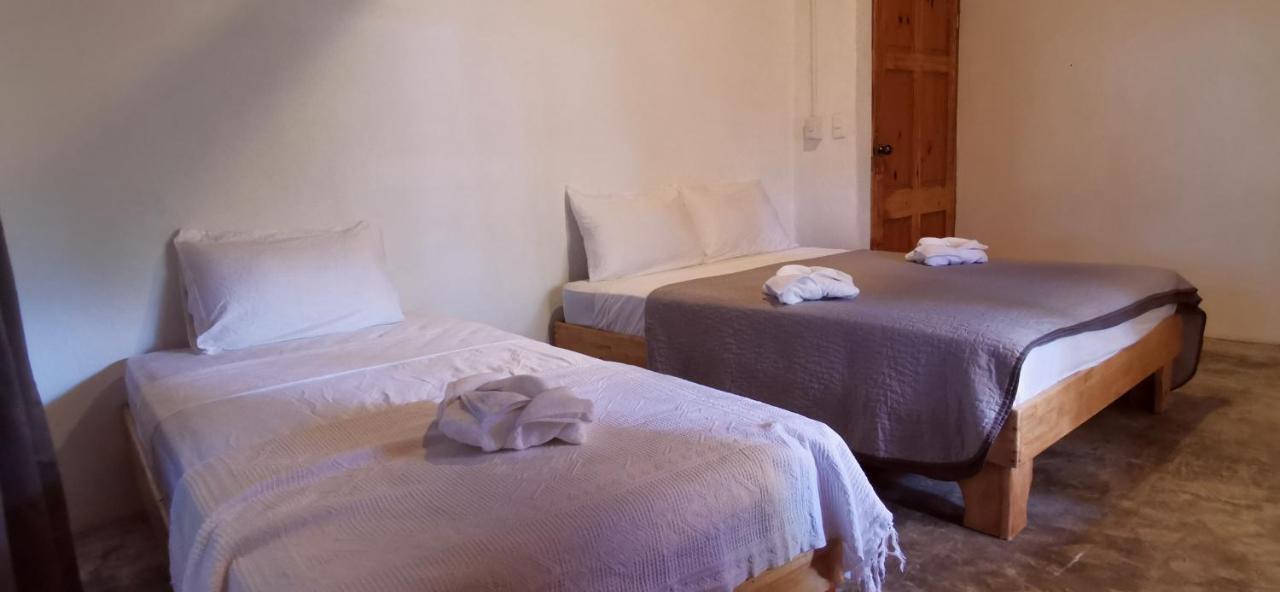 Armadillo Eco Bungalows - Santa Teresa Playa Santa Teresa  외부 사진