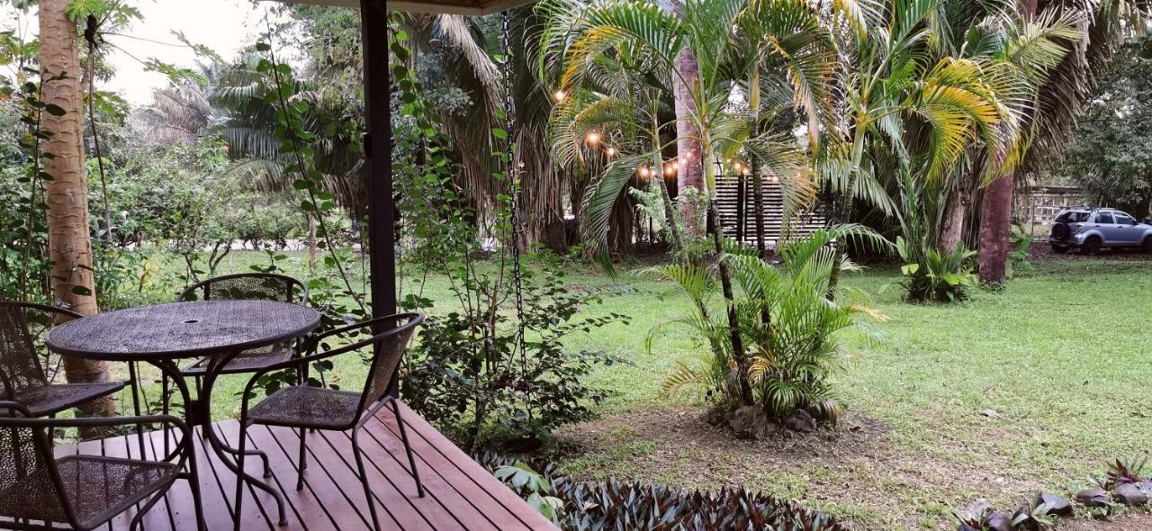 Armadillo Eco Bungalows - Santa Teresa Playa Santa Teresa  외부 사진