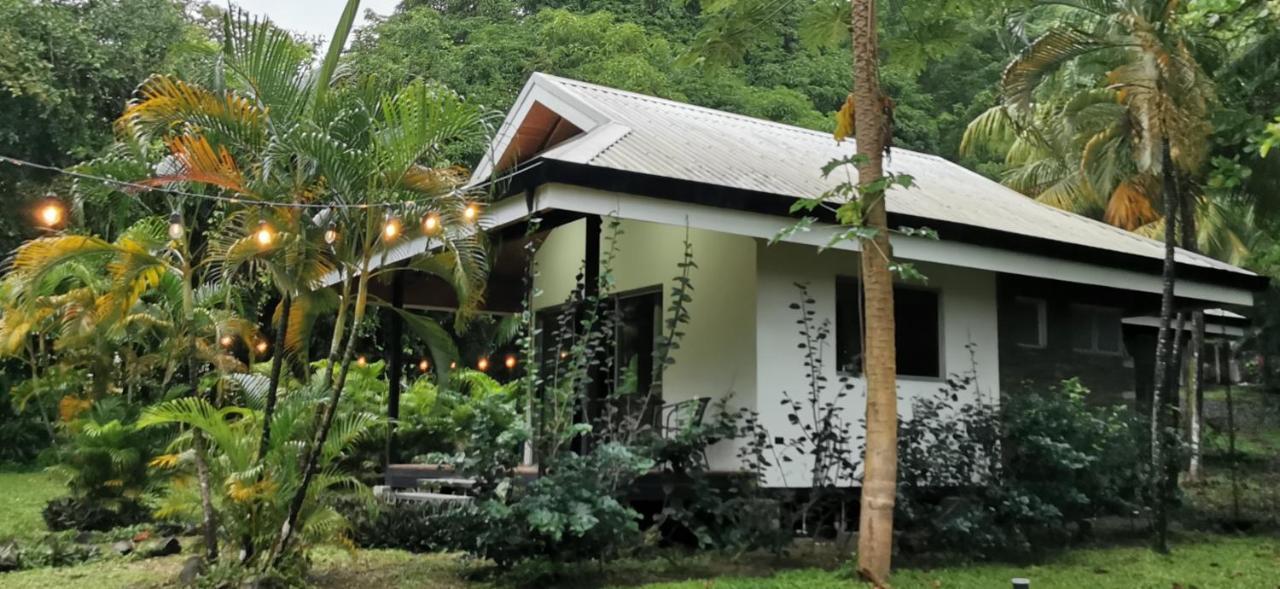 Armadillo Eco Bungalows - Santa Teresa Playa Santa Teresa  외부 사진