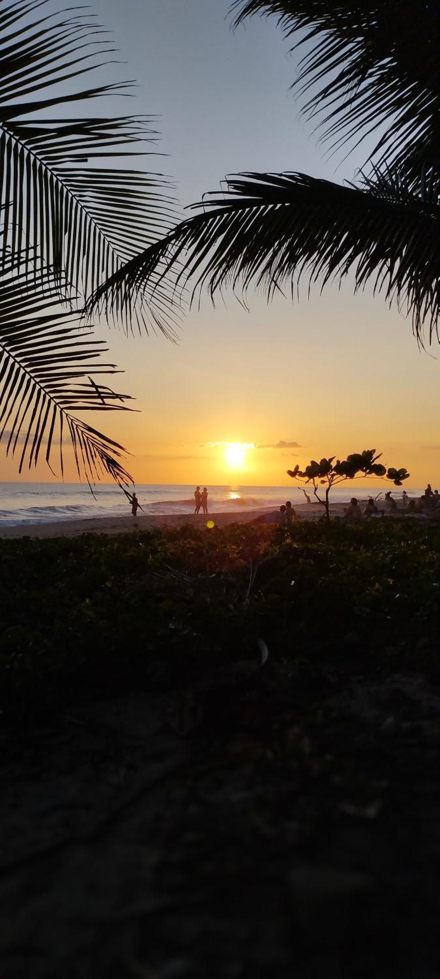 Armadillo Eco Bungalows - Santa Teresa Playa Santa Teresa  외부 사진