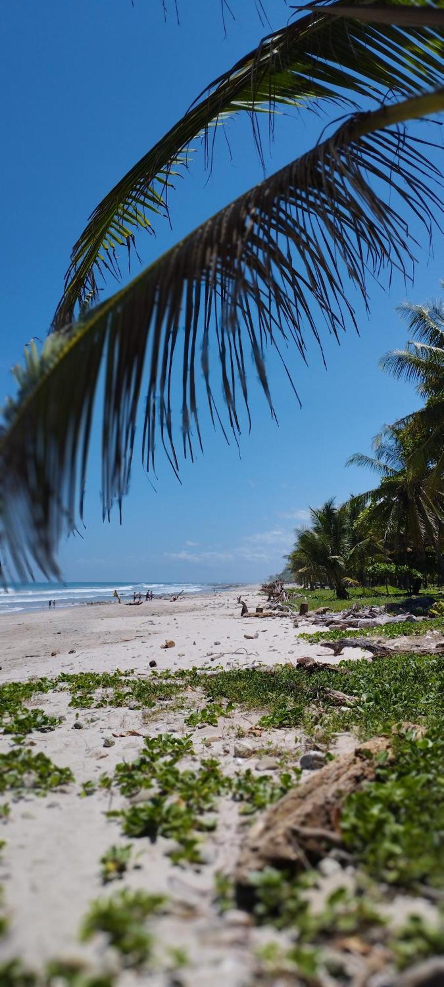 Armadillo Eco Bungalows - Santa Teresa Playa Santa Teresa  외부 사진