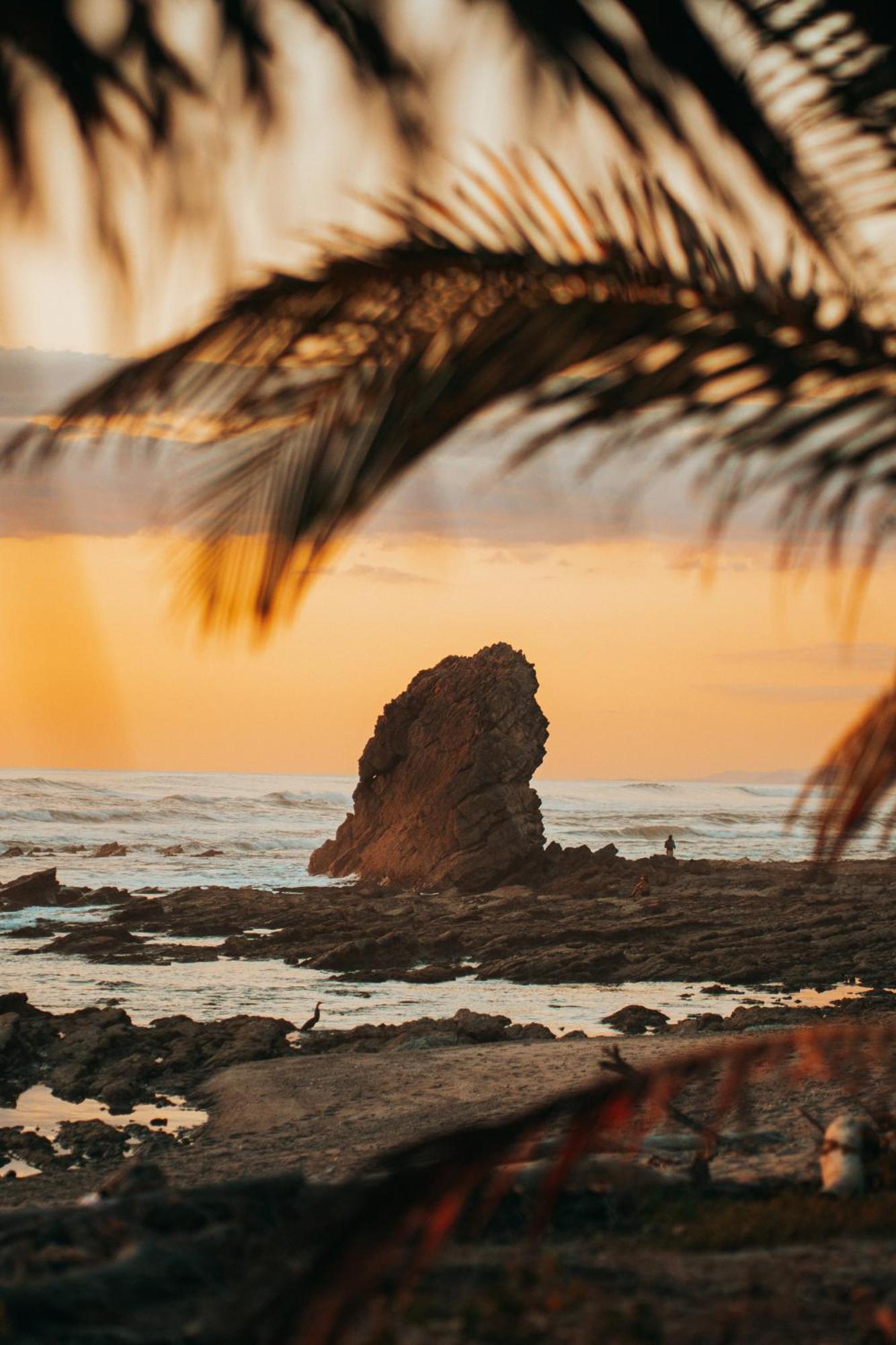 Armadillo Eco Bungalows - Santa Teresa Playa Santa Teresa  외부 사진